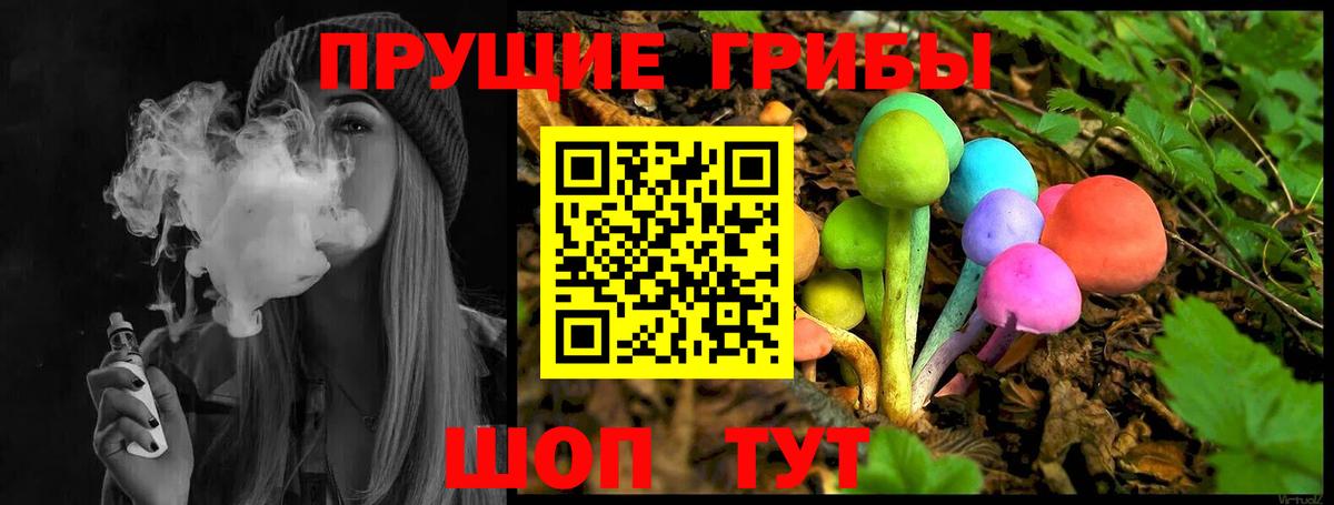Галлюциногенные грибы Psilocybine cubensis  Вход с VPN  Мурино  Галлюциногенные грибы мицелий 